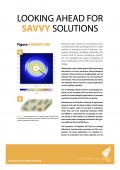 Looking ahead for savvy solutions